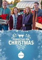  Пуансеттии на Рождество смотреть онлайн (2018) 