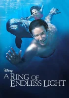  Кольцо бесконечного света смотреть онлайн (2002) 