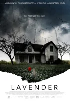  Фотограф смотреть онлайн (2016) 