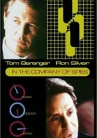  В компании шпионов смотреть онлайн (1999) 