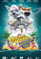  Белка и Стрелка: Карибская тайна смотреть онлайн (2020) 